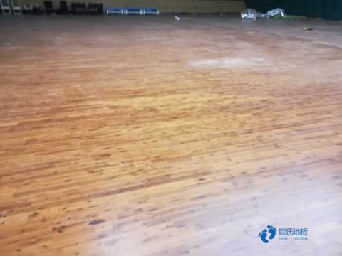 第五屆廣西木材加工產(chǎn)業(yè)論壇載譽歸來
