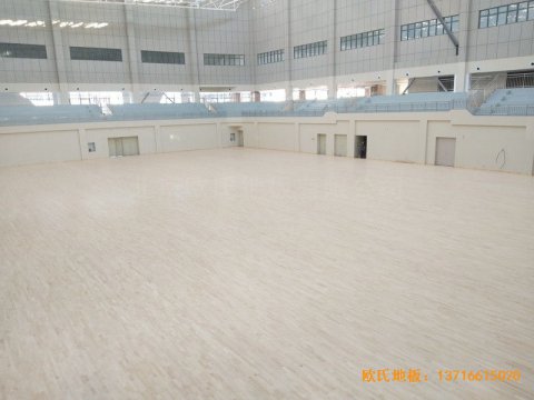 云南紅河州財經(jīng)大學(xué)體育館運動木地板