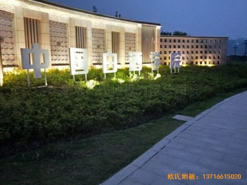 四川宜賓五糧液白酒學(xué)院運動館體育地